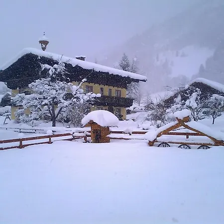 Moarbauer ファームステイ