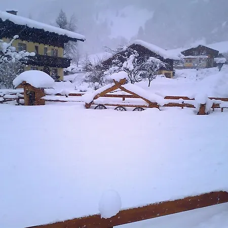 Moarbauer Gospodarstwo agroturystyczne *