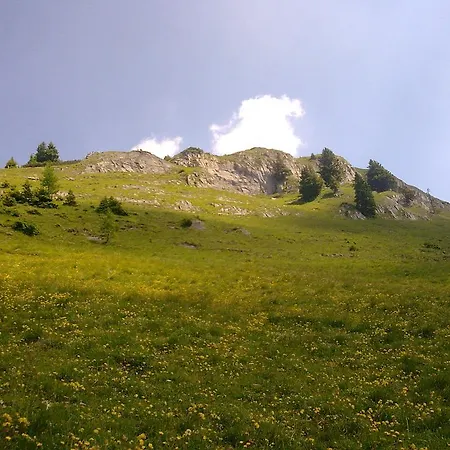Moarbauer Gospodarstwo agroturystyczne *