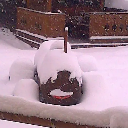 Moarbauer Gospodarstwo agroturystyczne