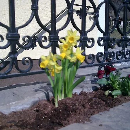 Moarbauer * Dorfgastein