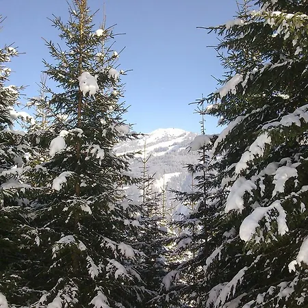 Gospodarstwo agroturystyczne Moarbauer *