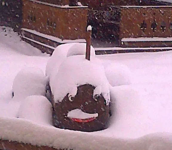 Moarbauer Κατάλυμα σε φάρμα